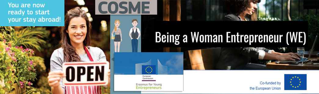improve and growth a business in EU
